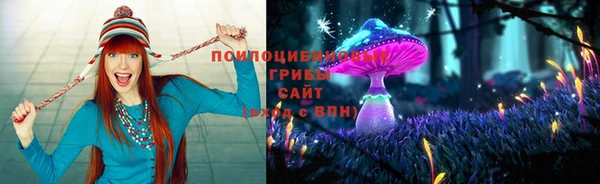 2c-b Бородино