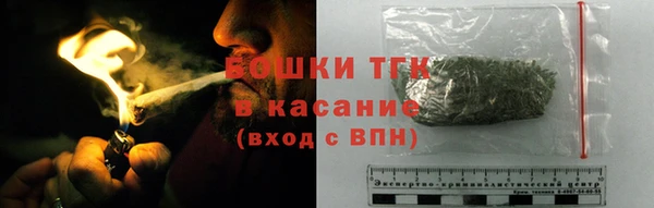 2c-b Бородино