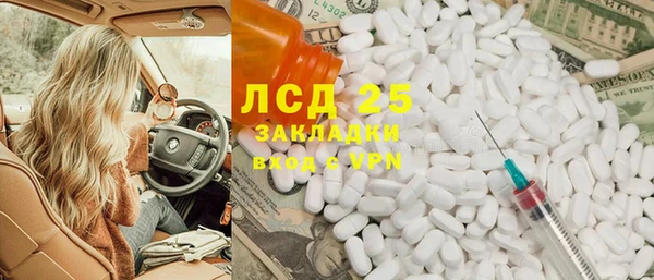 2c-b Бородино