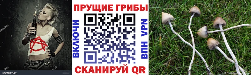 Псилоцибиновые грибы ЛСД Гурьевск